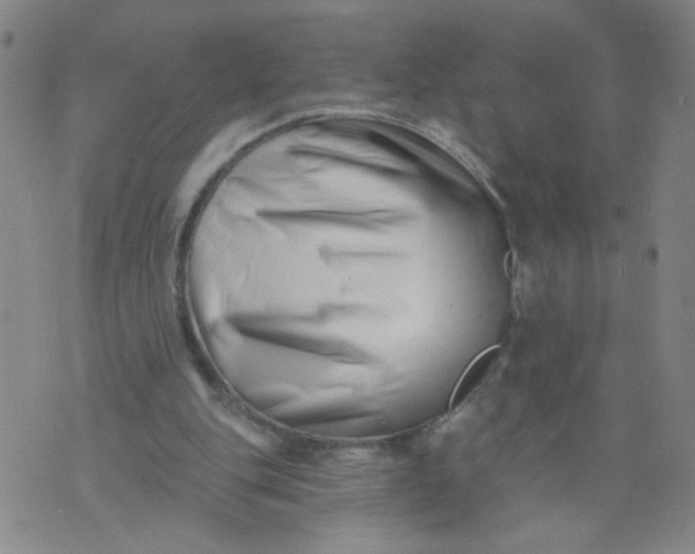 X0000073910151200609011753