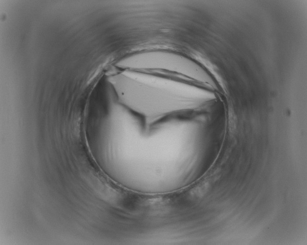 X0000073910153200609011753
