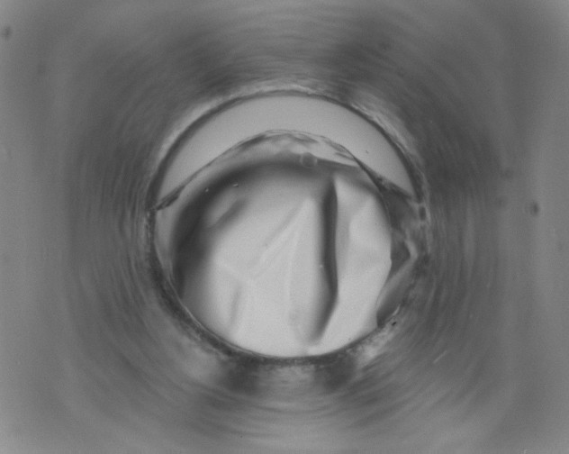 X0000073910156200609011753