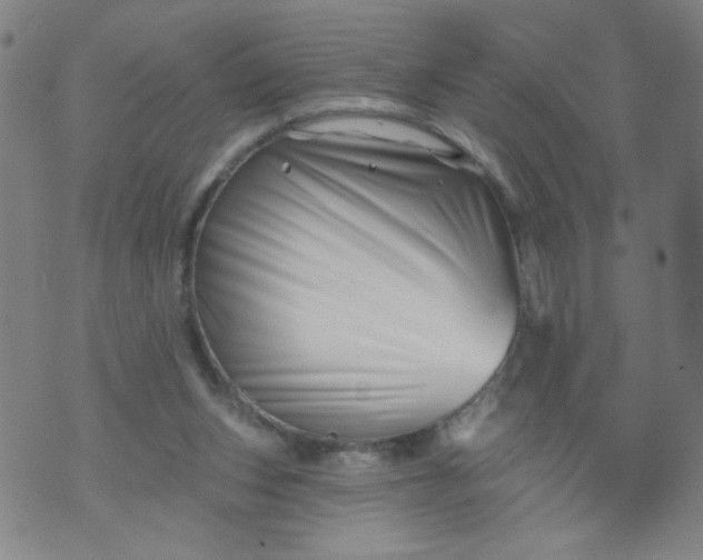 X0000073910159200609011753