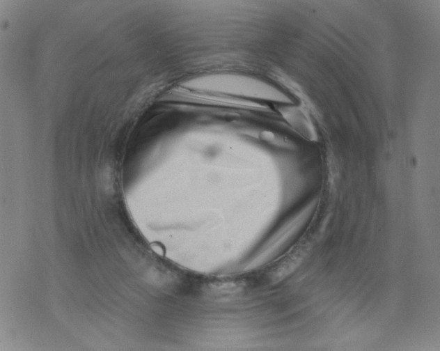 X0000073910161200609011753