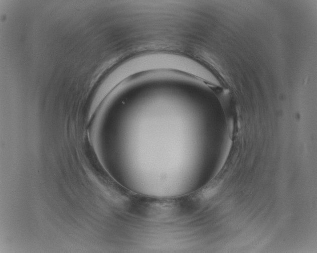 X0000073910164200609011753