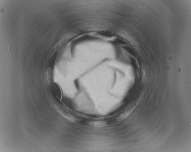 X0000073910165200609011753