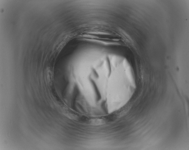 X0000073910169200609011753