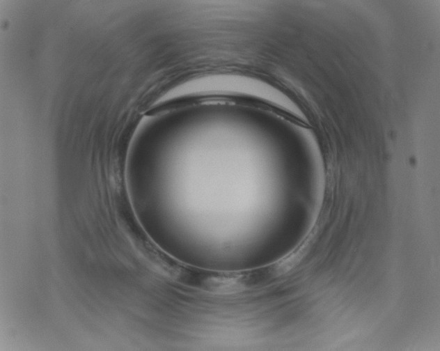 X0000073910170200609011753