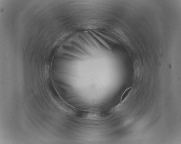 X0000073910171200609011753