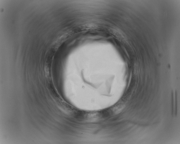 X0000073910173200609011753