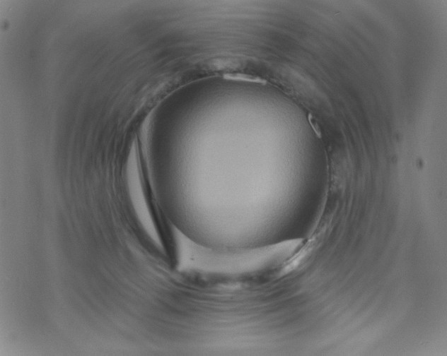 X0000073910176200609011753