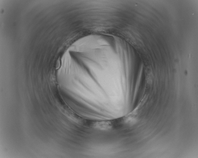 X0000073910179200609011753