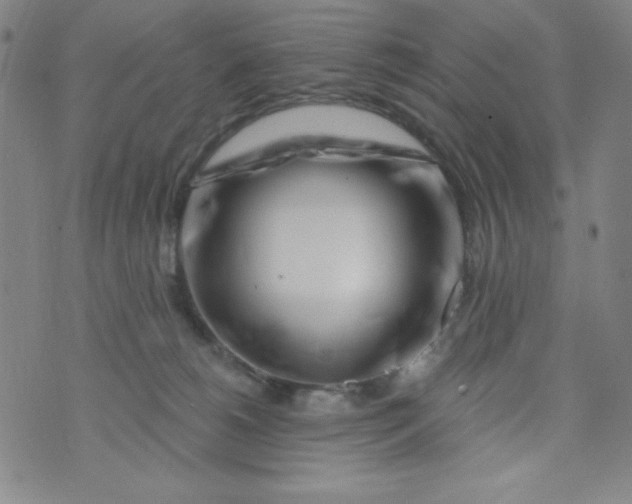 X0000073910180200609011753
