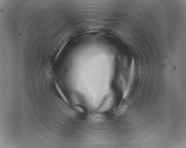 X0000073910181200609011753
