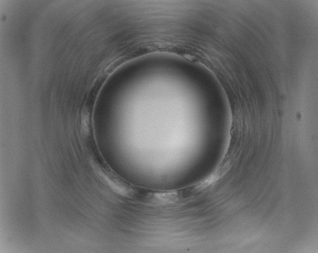 X0000073910188200609011753