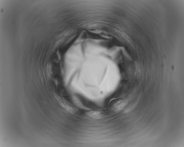 X0000073910189200609011753