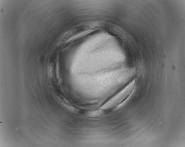 X0000073910191200609011753