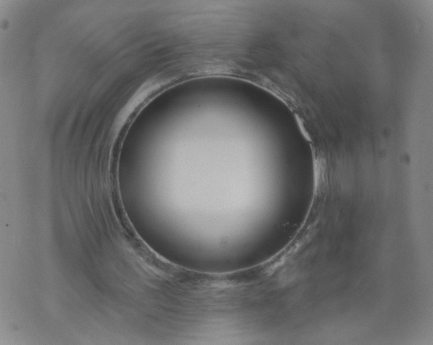 X0000073910195200609011752