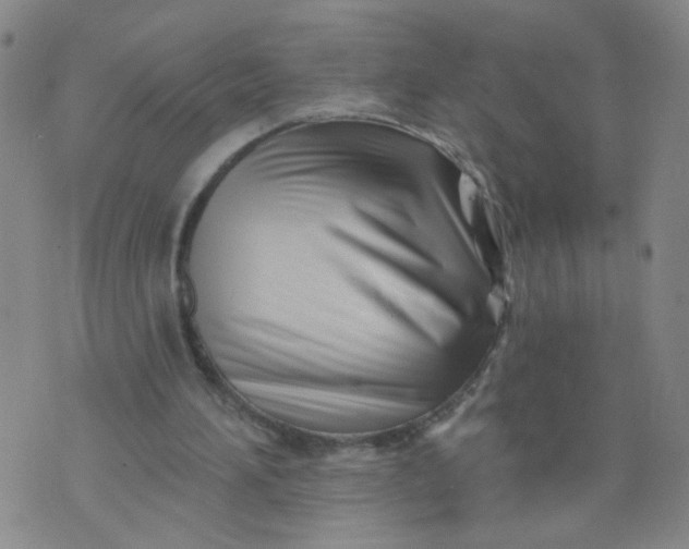 X0000073910196200609011752