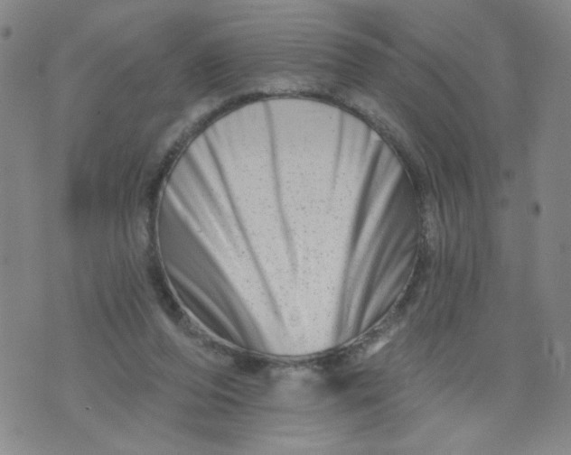 X0000073910208200609011752