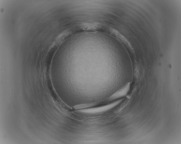 X0000073910209200609011752