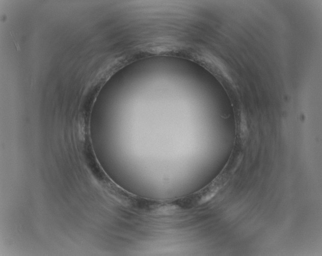 X0000073910210200609011752