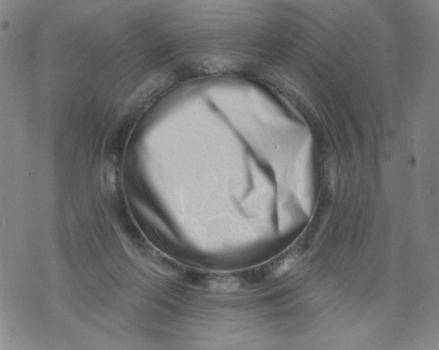 X0000073910214200609011752