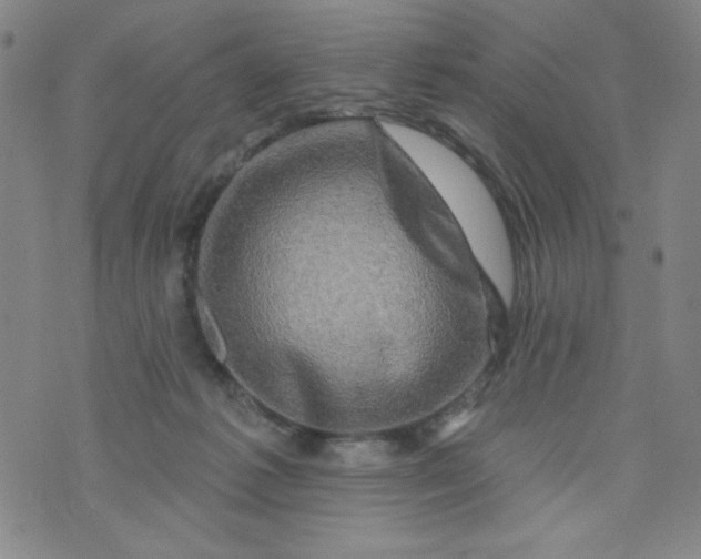 X0000073910221200609011752