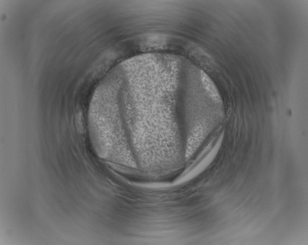 X0000073910224200609011752