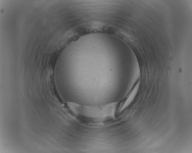 X0000073910225200609011752