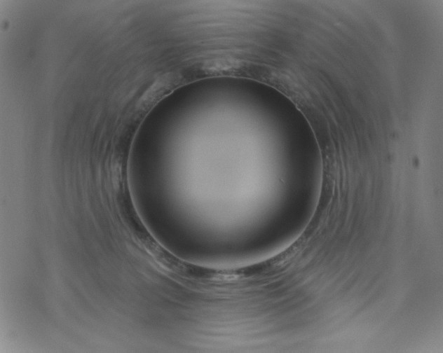 X0000073910227200609011752