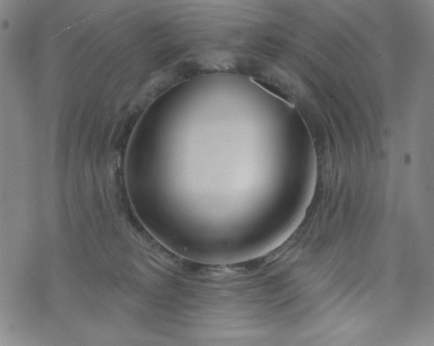 X0000073910229200609011752