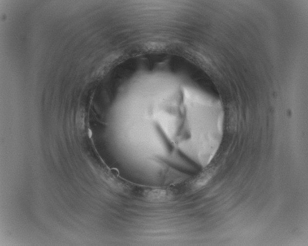 X0000073910230200609011752