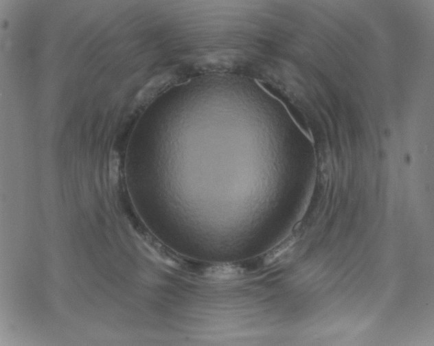 X0000073910231200609011752
