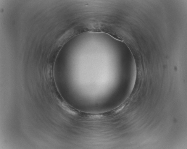 X0000073910233200609011752