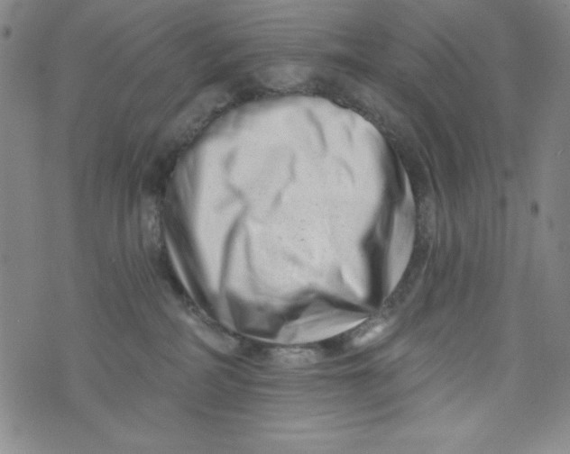 X0000073910234200609011752