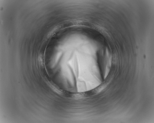 X0000073910238200609011752