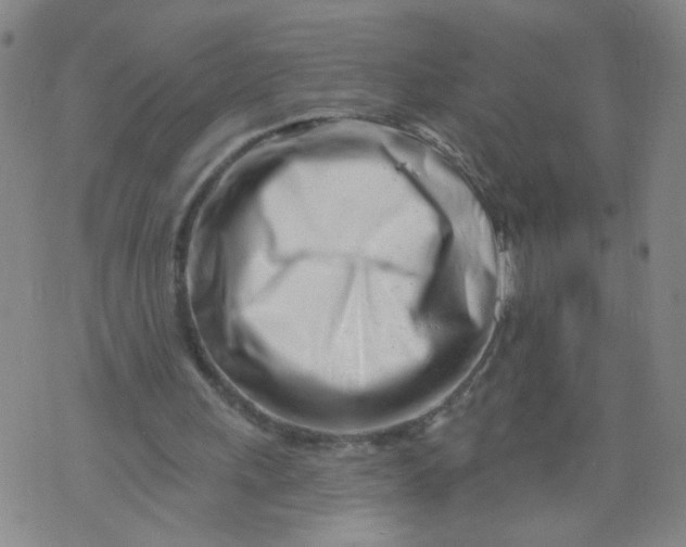 X0000073910243200609011751