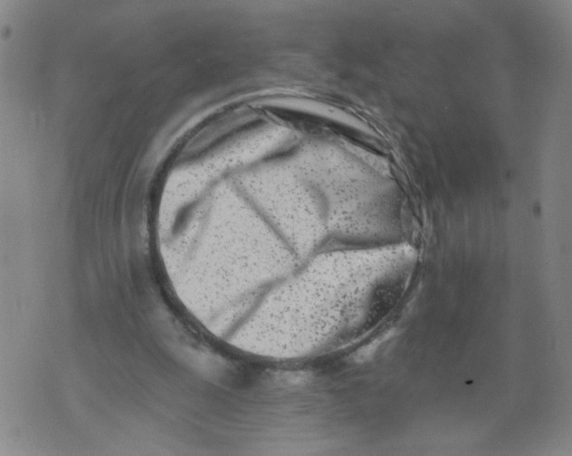 X0000073910247200609011751