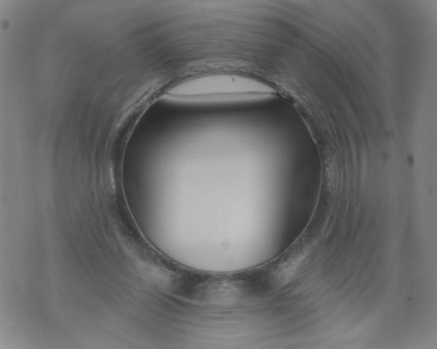 X0000073910254200609011751