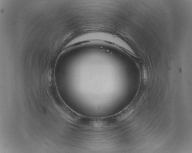 X0000073910264200609011751