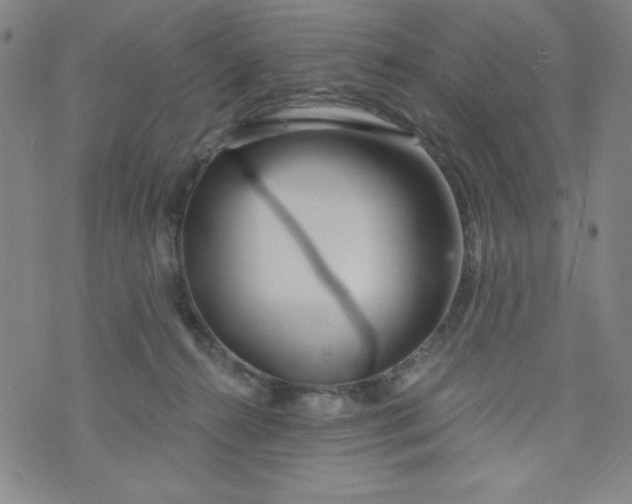 X0000073910272200609011751