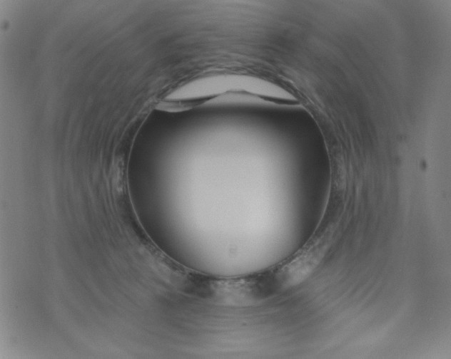 X0000073910273200609011751