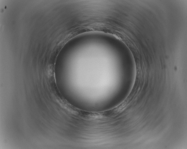 X0000073910284200609011752