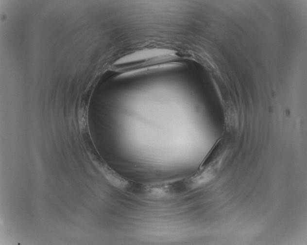 X0000073910285200609011752