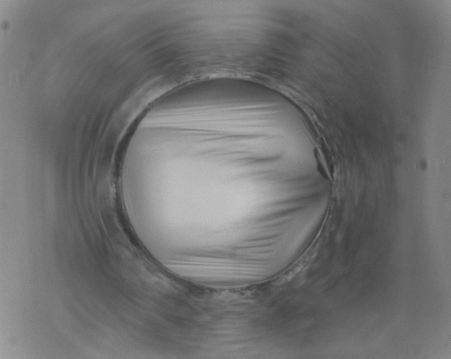 X0000073910290200609011751