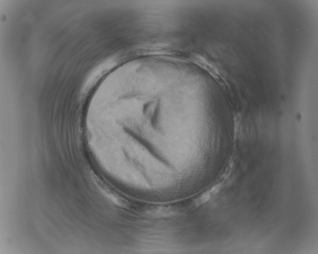 X0000073910293200609011751