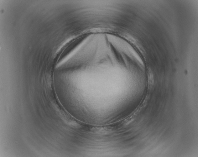 X0000073910297200609011751