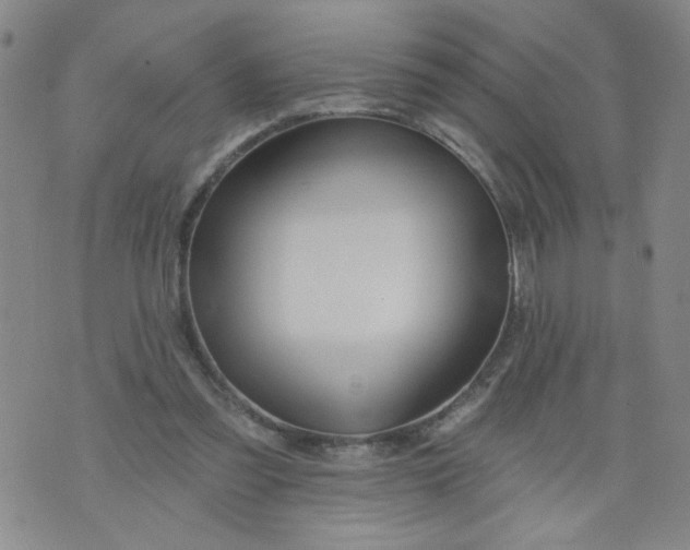X0000073910301200609011751