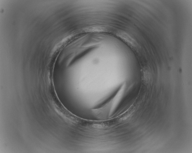 X0000073910302200609011751