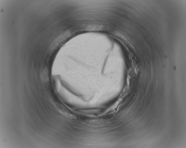 X0000073910303200609011751