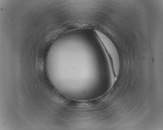 X0000073910315200609011750