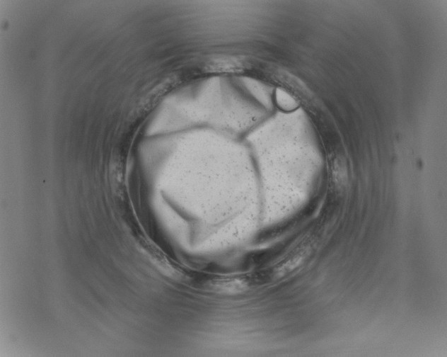 X0000073910322200609011750